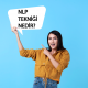 nlp-teknigi